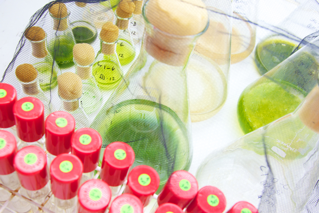 Getting started with Experiential Learning