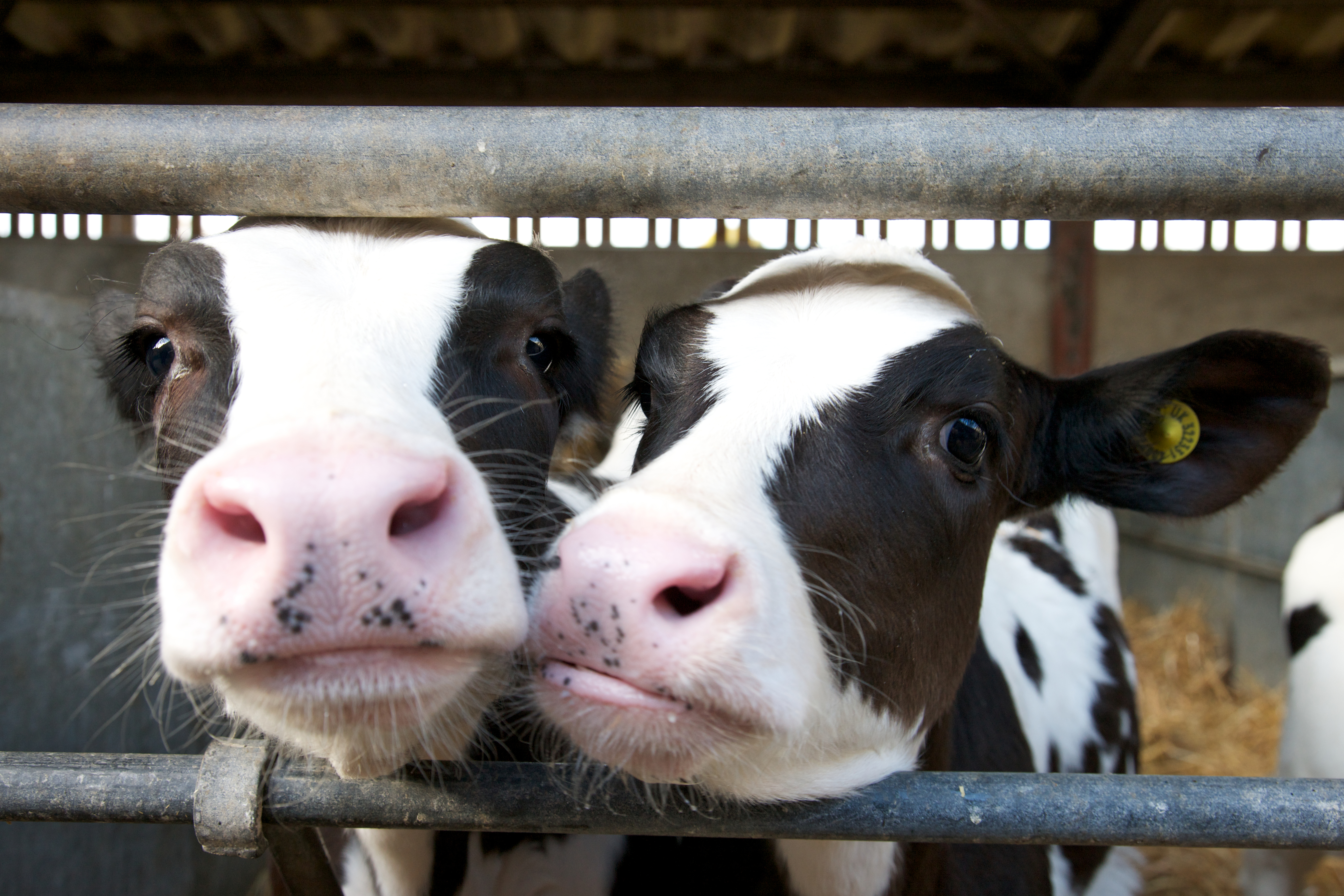 A BILT Project: Evaluating a clinical skills lab as an active learning space: sharing best practice and identifying areas for improvement