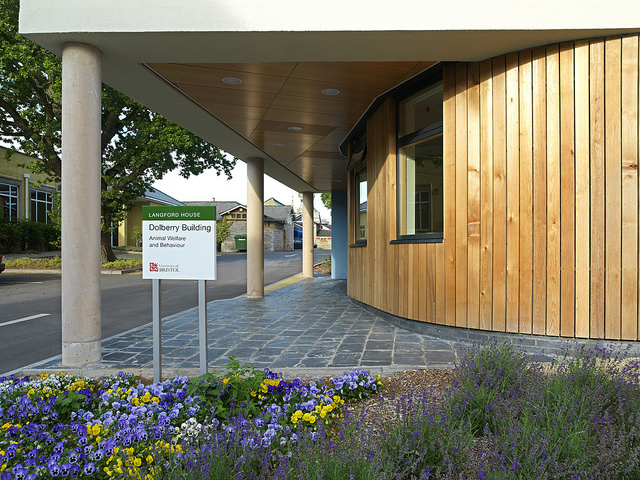 The LeapForward Project