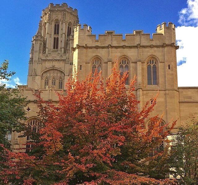 BILT Briefing Issue 69