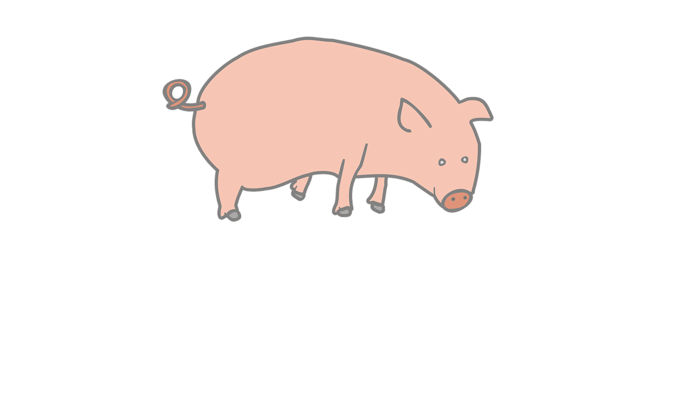 Should we go ‘The Whole Hog’ with programme-level assessment?