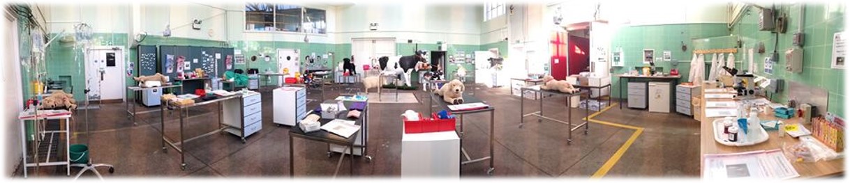 Tales from a ‘School Trip’ to Langford