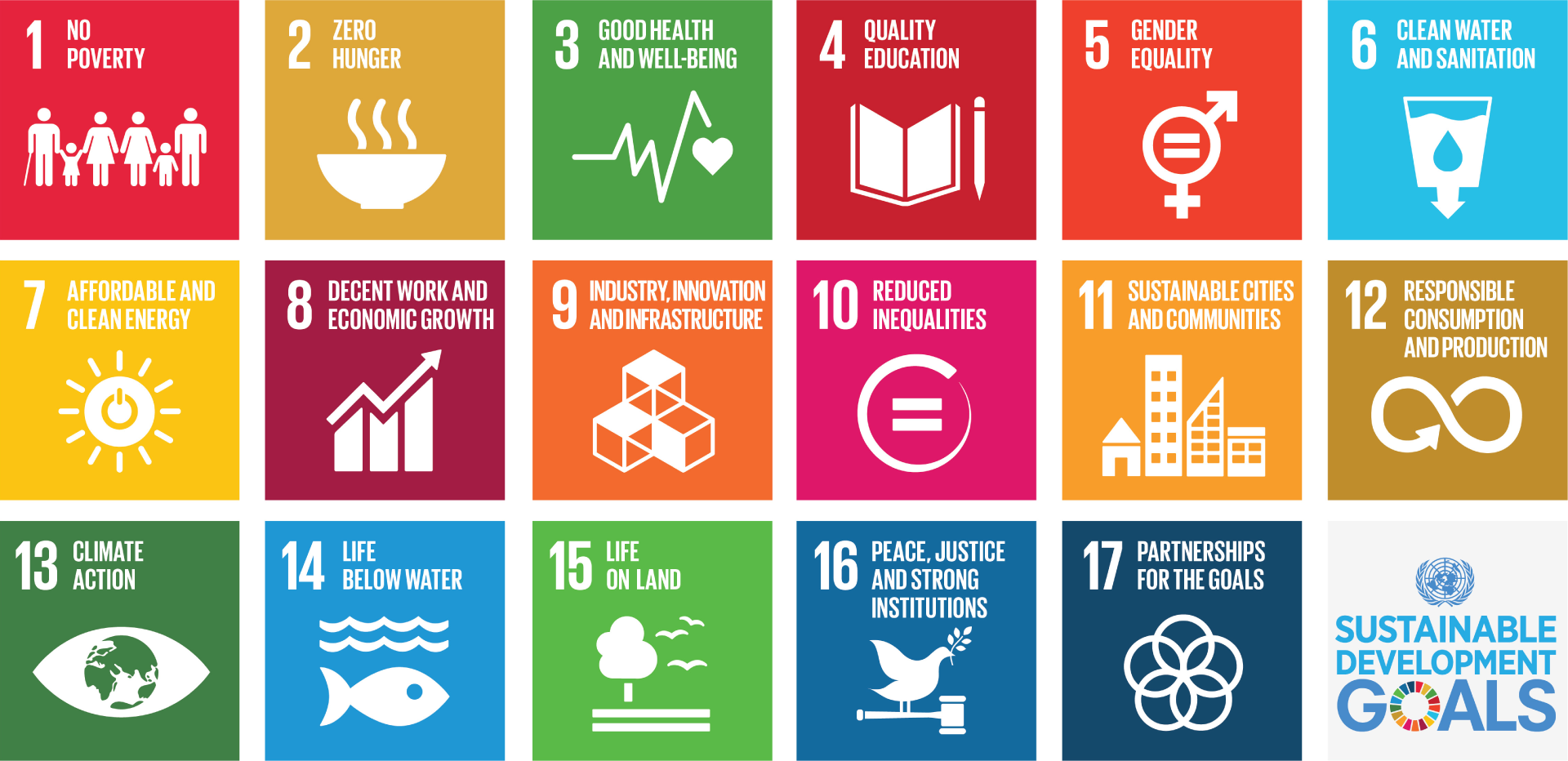 Sustainable Development Goals and the University of Bristol: Are they the future?