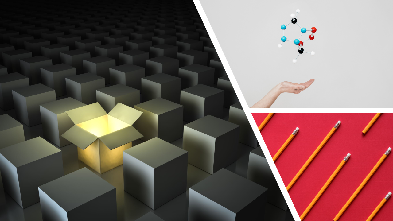 Disabilities, accessibility and the student learning experience