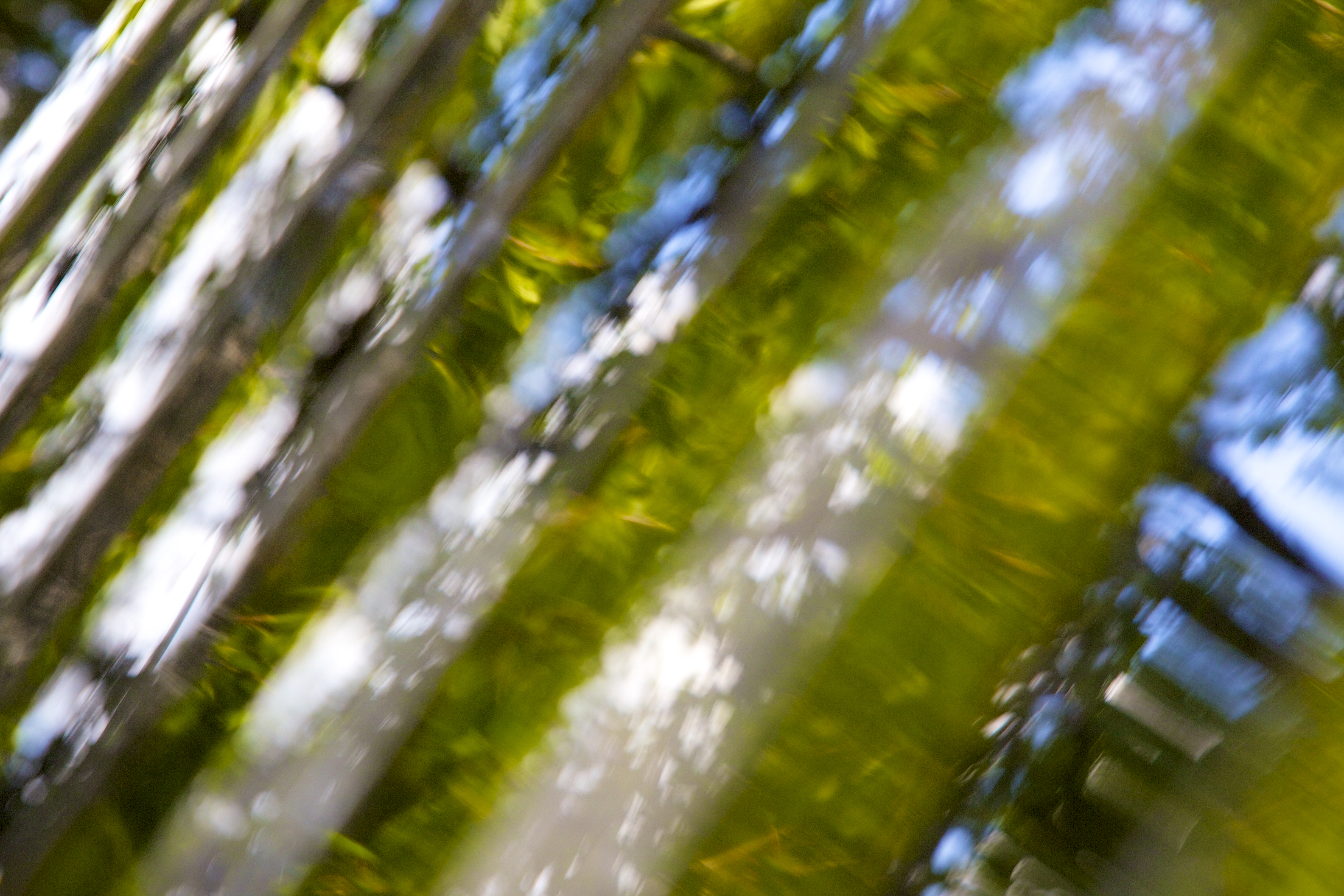 Assessing Large Groups