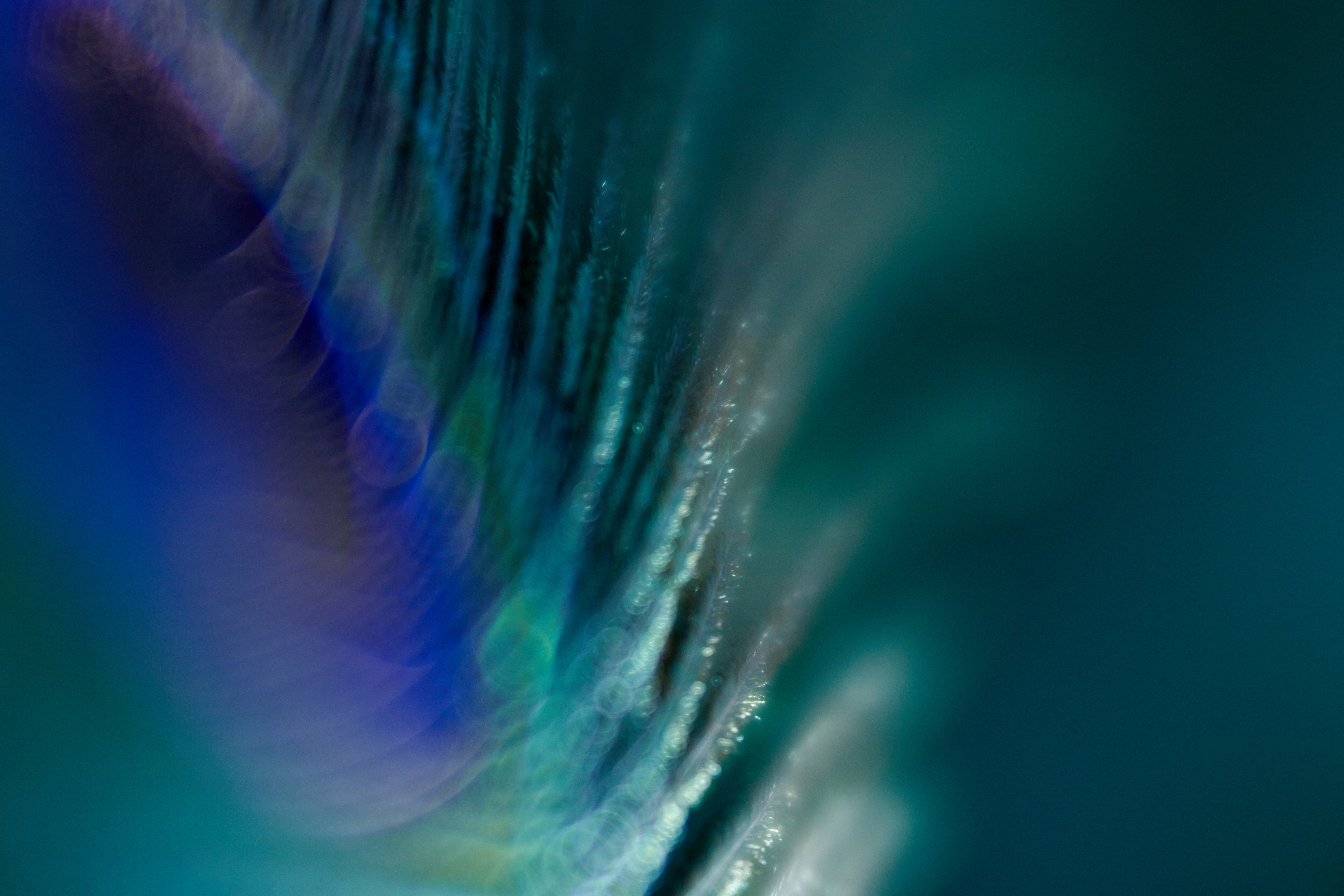 The Role of Economic Growth: Perspectives and Values in A Changing World