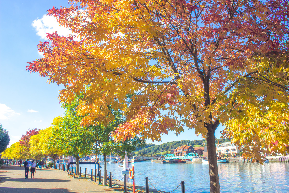 BILT Briefing Issue 65