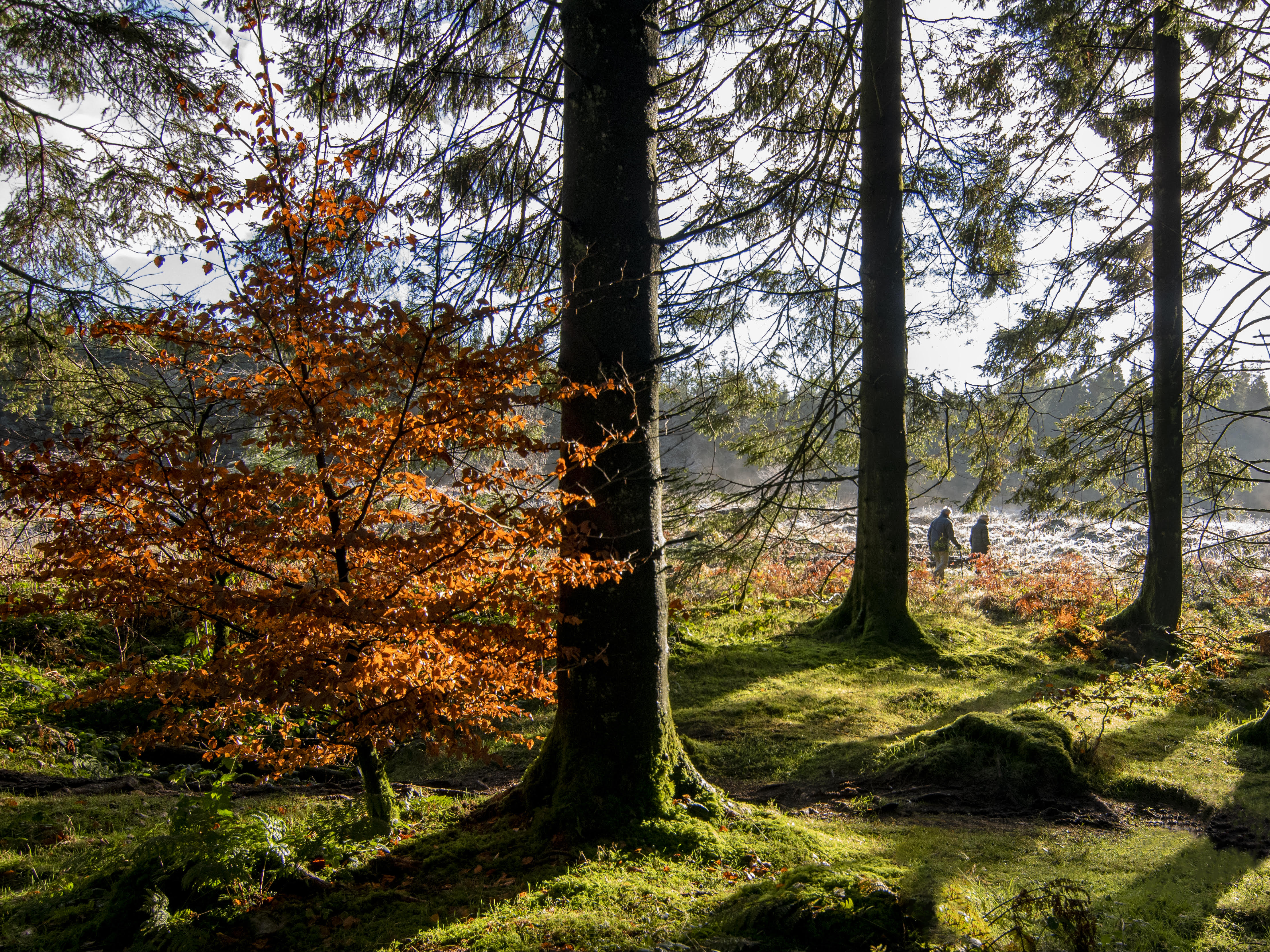 BILT Briefing Issue 67