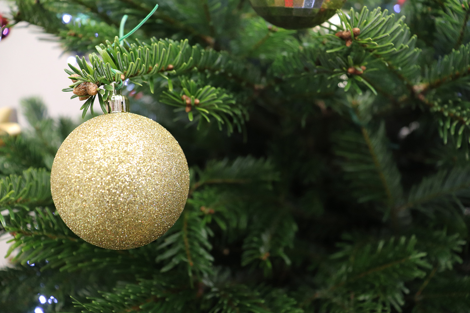 BILT Briefing: The 2021 Christmas Special