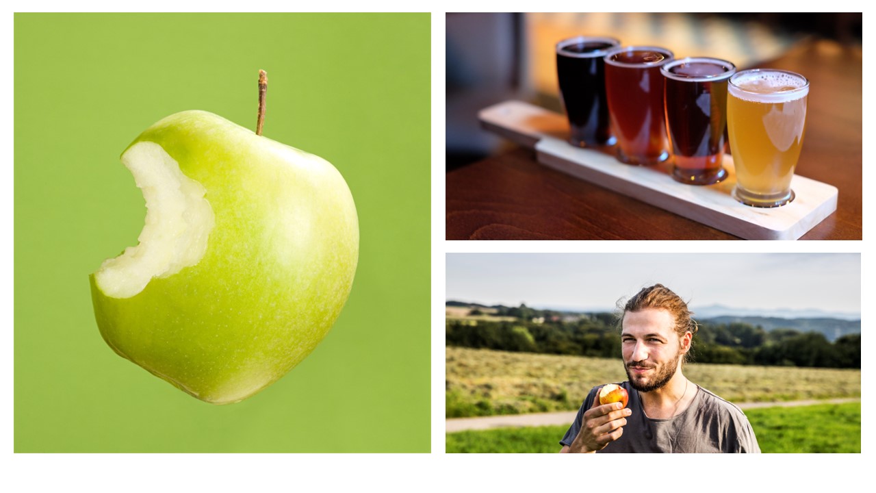 What does cider have to do with learning?