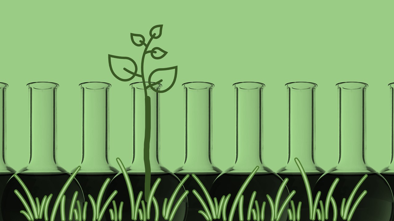 The Campus for Sustainability: A Living Lab Approach