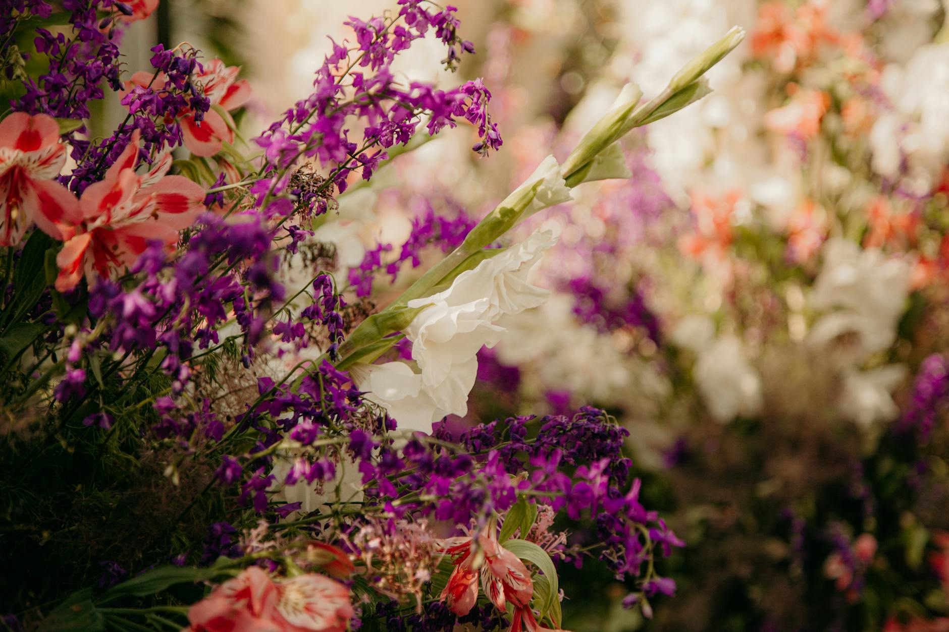 Growing a flourishing feedback culture? 