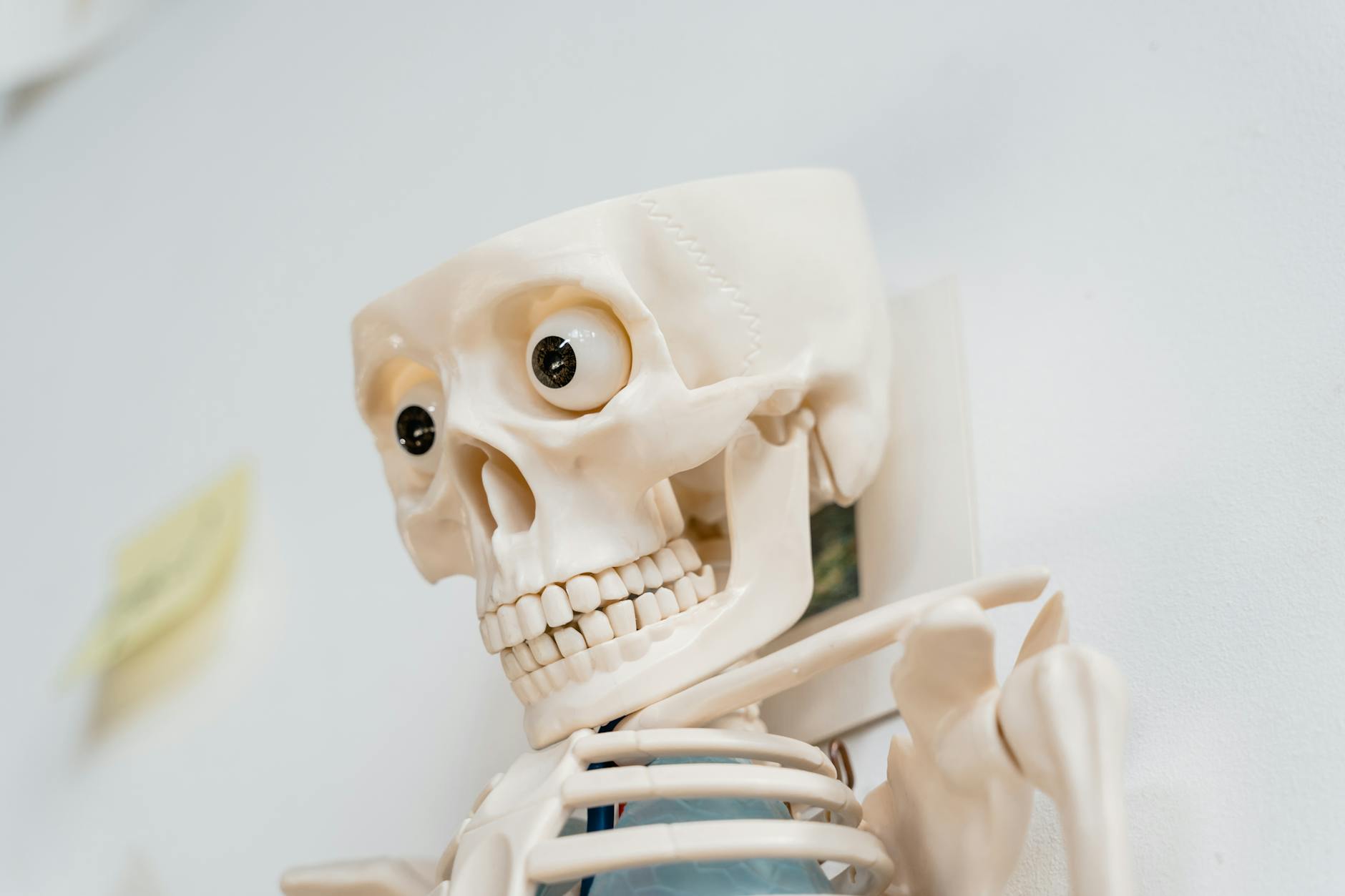 Teaching tomorrow’s doctors: Medical students’ reflections on learning to teach