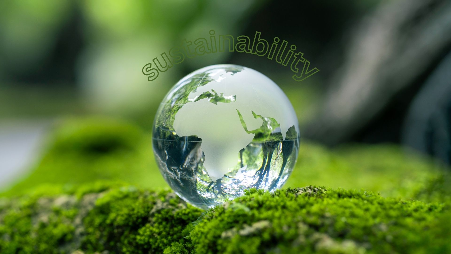 Education For Sustainability Development Case Study: School of Medicine