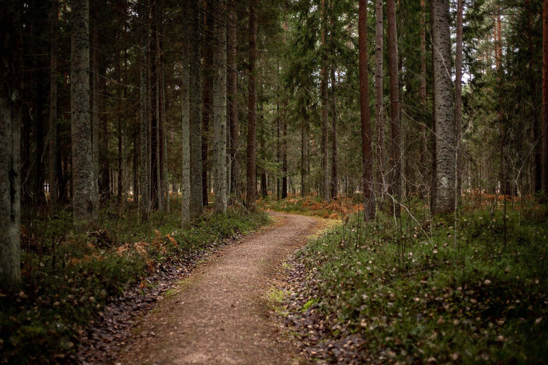 Audio Trails in Nature: A Case Study in Science Communication