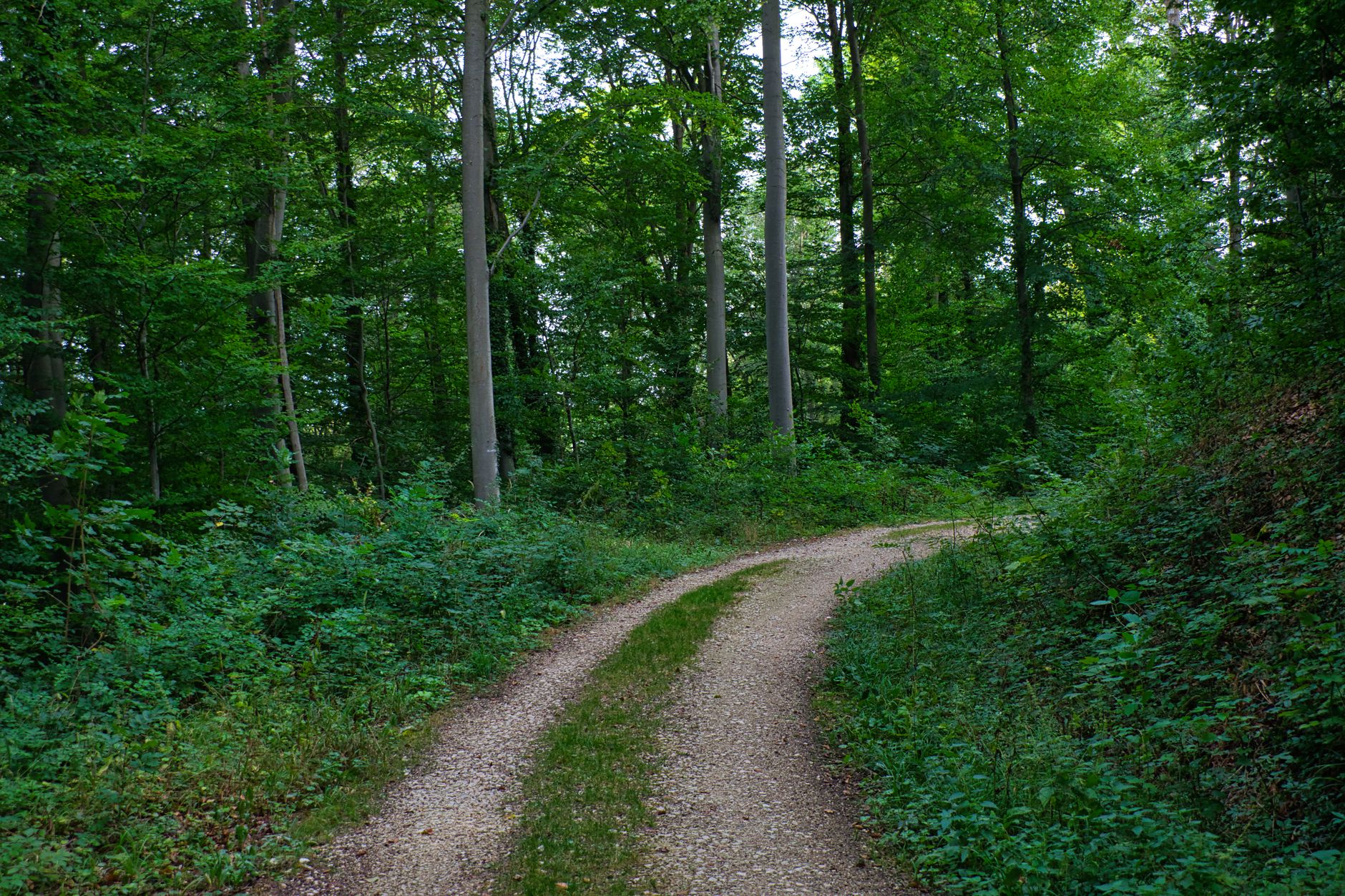 Inclusive assessment in quantitative research methods: Creating multiple pathways to success